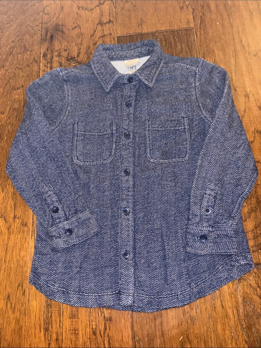 Hanna Andersson- Blue Button-up Shirt